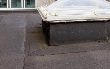 disadvantages of Cann Common flat roofs