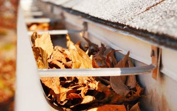 Cann Common gutter cleaning companies