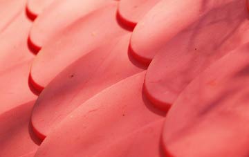 Cann Common plastic roof costs