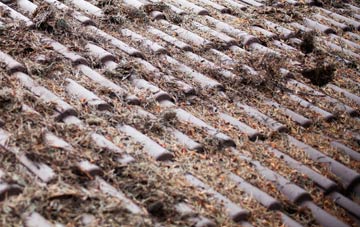 Cann Common roof cleaning companies