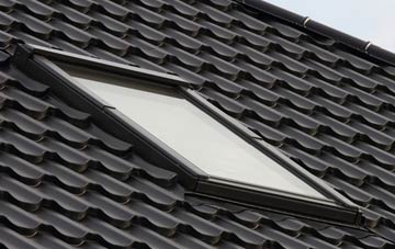 benefits of Cann Common roof windows