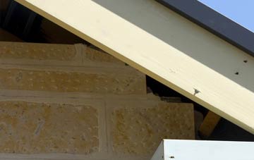 soffit repair Cann Common