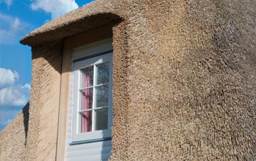 Cann Common thatch roof disadvantages