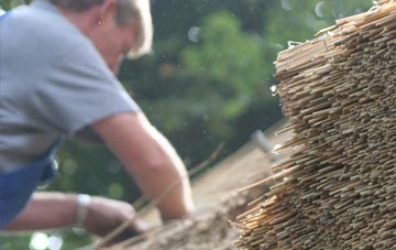 professional Cann Common thatchers