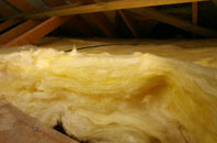 Cann Common pitch roof insulation