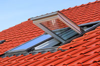 Cann Common roof window