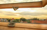 rated Cann Common roof window companies
